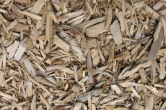 biomass boilers Ellerhayes